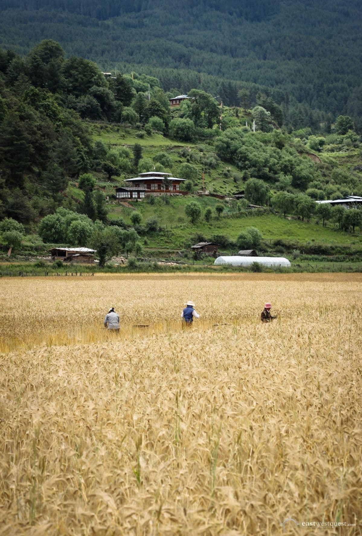 Bumthang valley