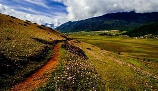 Open mountain trail through Bhutanese highland grassland