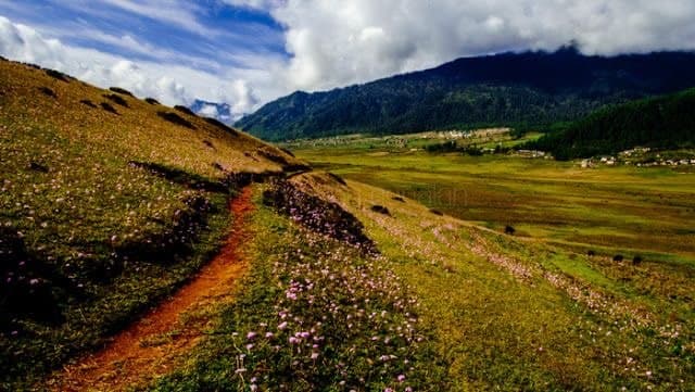 Gasa and Laya, Bhutan